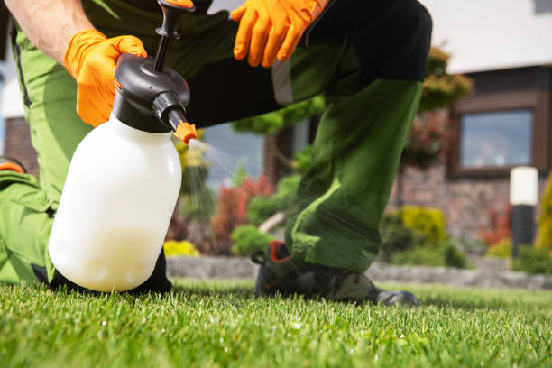 Portsmouth, VA Pest Control Pros