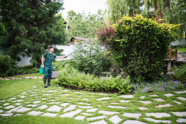 Best Pest Removal Services  in Portsmouth, VA