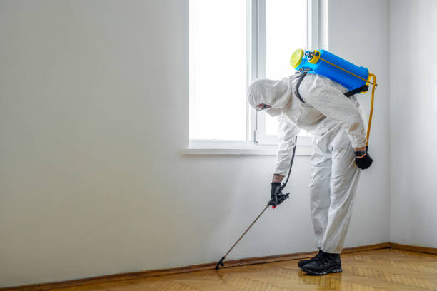 Best Bed Bug Extermination  in Portsmouth, VA