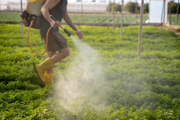 Best Pest Removal Services  in Portsmouth, VA