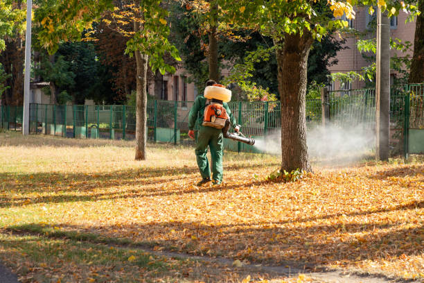 Best Pest Inspection Near Me  in Portsmouth, VA