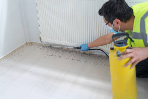 Best Ant Control Services  in Portsmouth, VA